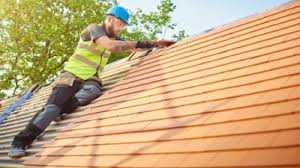 Best Roof Inspection  in Elsa, TX