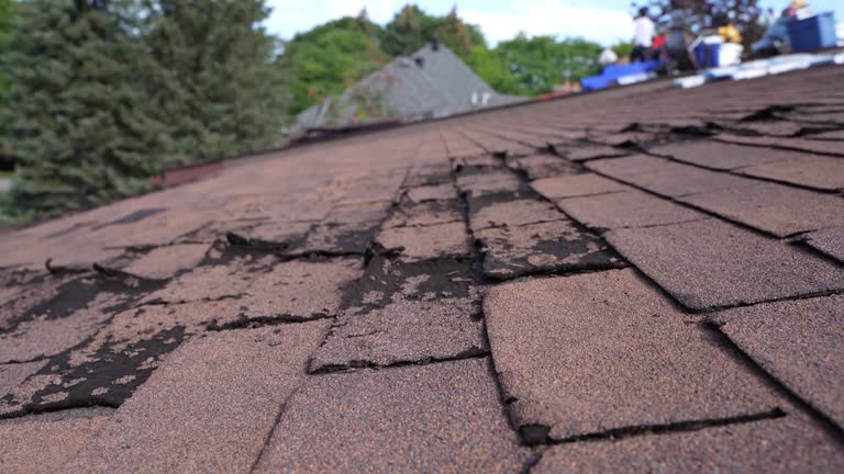 Best Roof Maintenance and Cleaning  in Elsa, TX