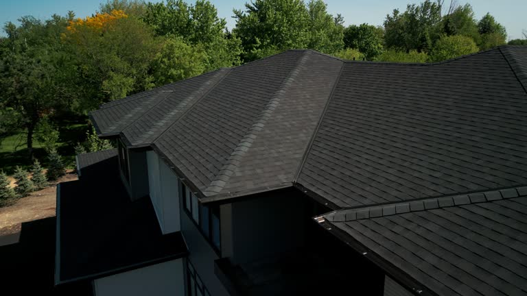 Best Asphalt Shingles Roofing  in Elsa, TX