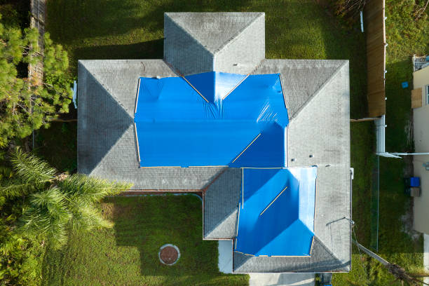 Steel Roofing in Elsa, TX
