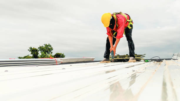 Best Cold Roofs  in Elsa, TX
