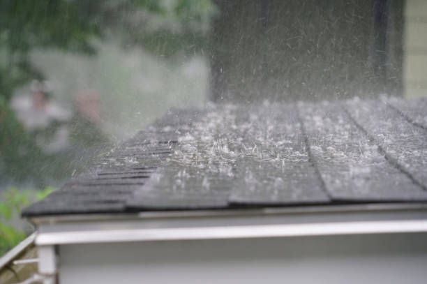 Best Roof Leak Repair  in Elsa, TX