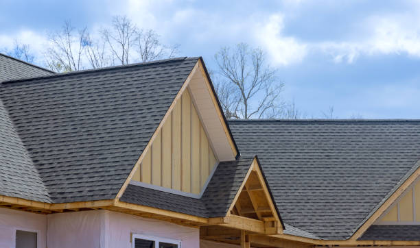 Best Steel Roofing  in Elsa, TX