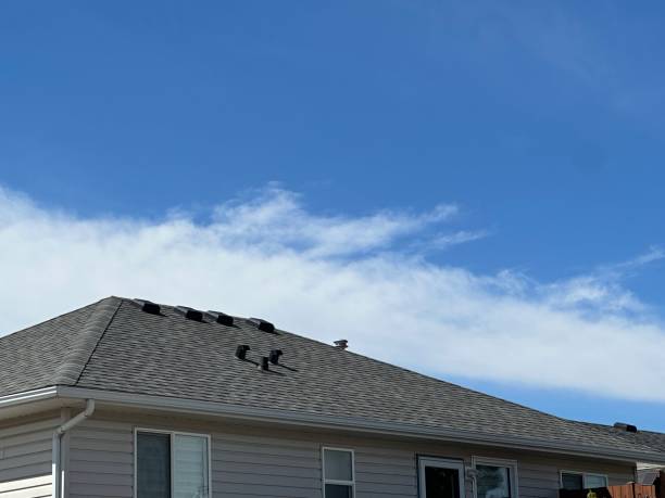 Best Metal Roofing Installation  in Elsa, TX
